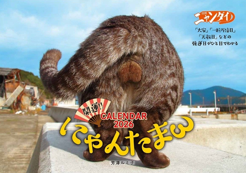 『平成フラミンゴ』RIHOのPodcast『カメとキリギリス』スタート。初回はRIHO×こっちのけんと、クリエイター対談