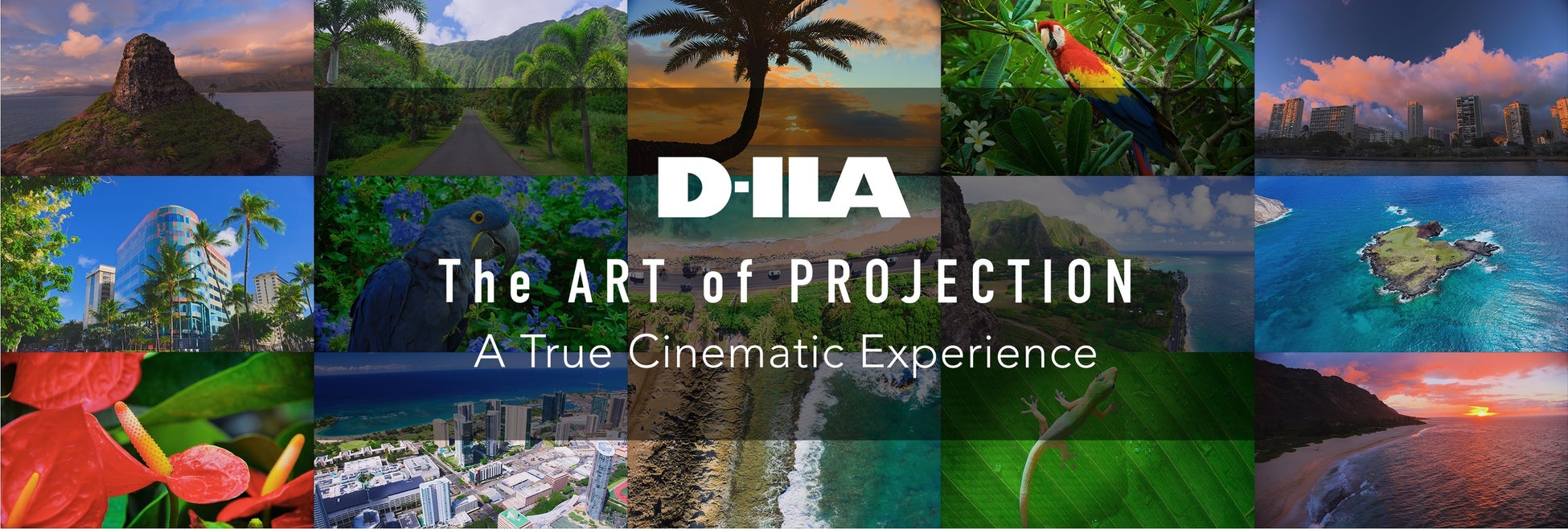 UUUMが手掛けるVTuberグループ『イリクス学園』より1期生4名がデビュー！