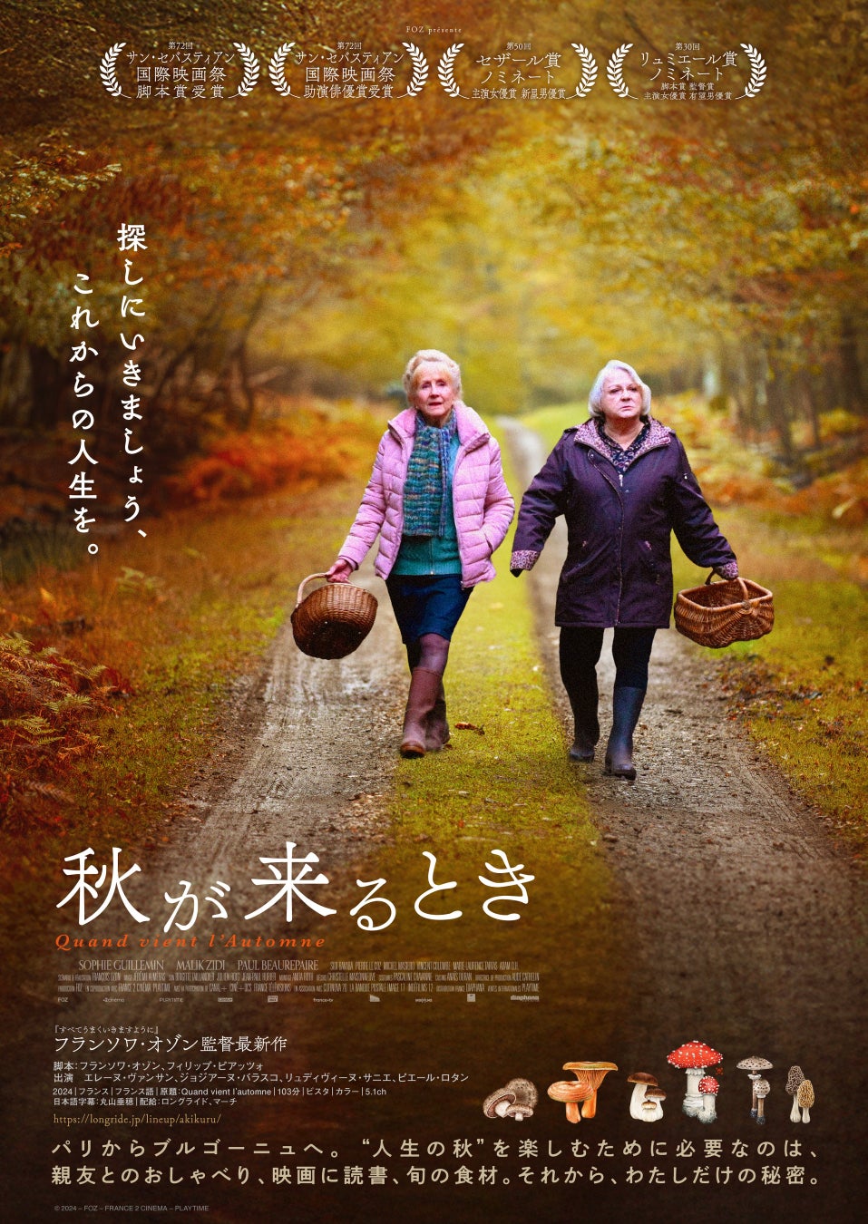 中国ドラマ「雲之羽～揺らめく愛、刹那の二人～」DVD-BOX発売決定！