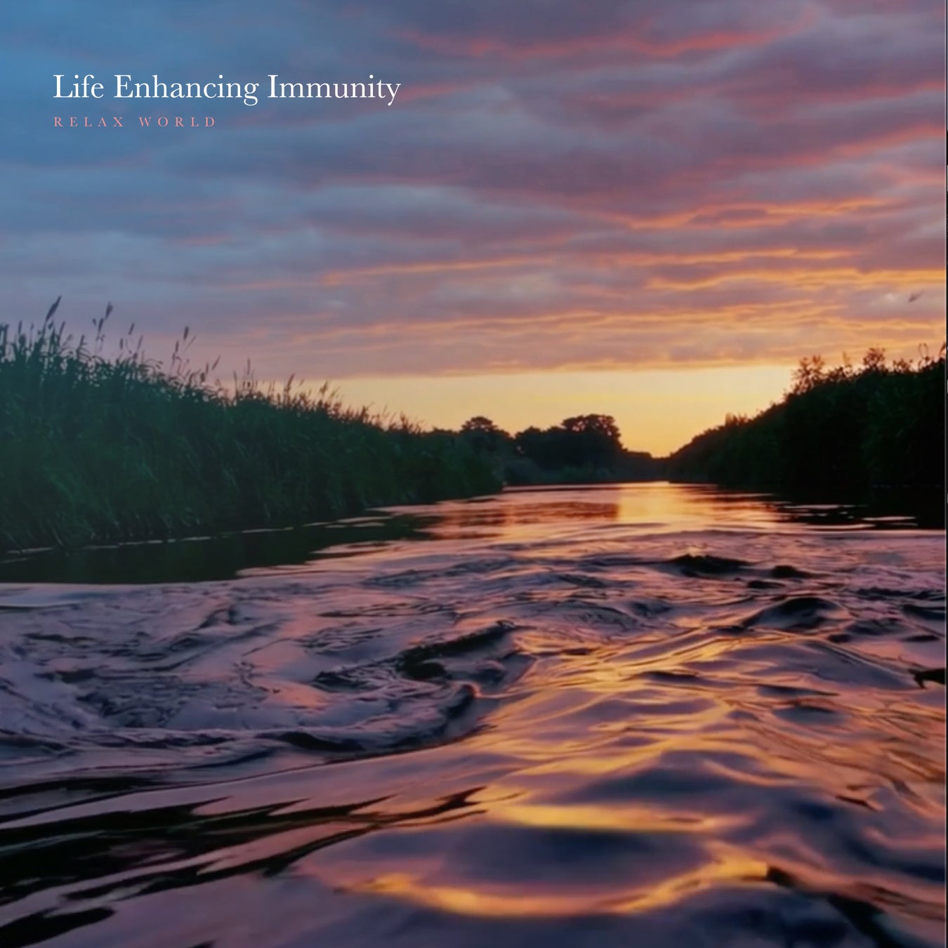 【開催まであと1週間！】 英国ロック・グッズの祭典『 THE BRITISH ROCK 2025』 ついに開幕！