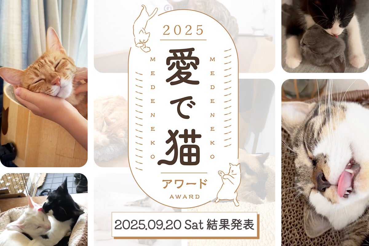 「Brewin’ Groove Festival」最終アーティスト発表として、社長(SOIL&“PIMP”SESSIONS)、てんぷらDJアゲまさ(KEYTALK)のDJ出演が決定!