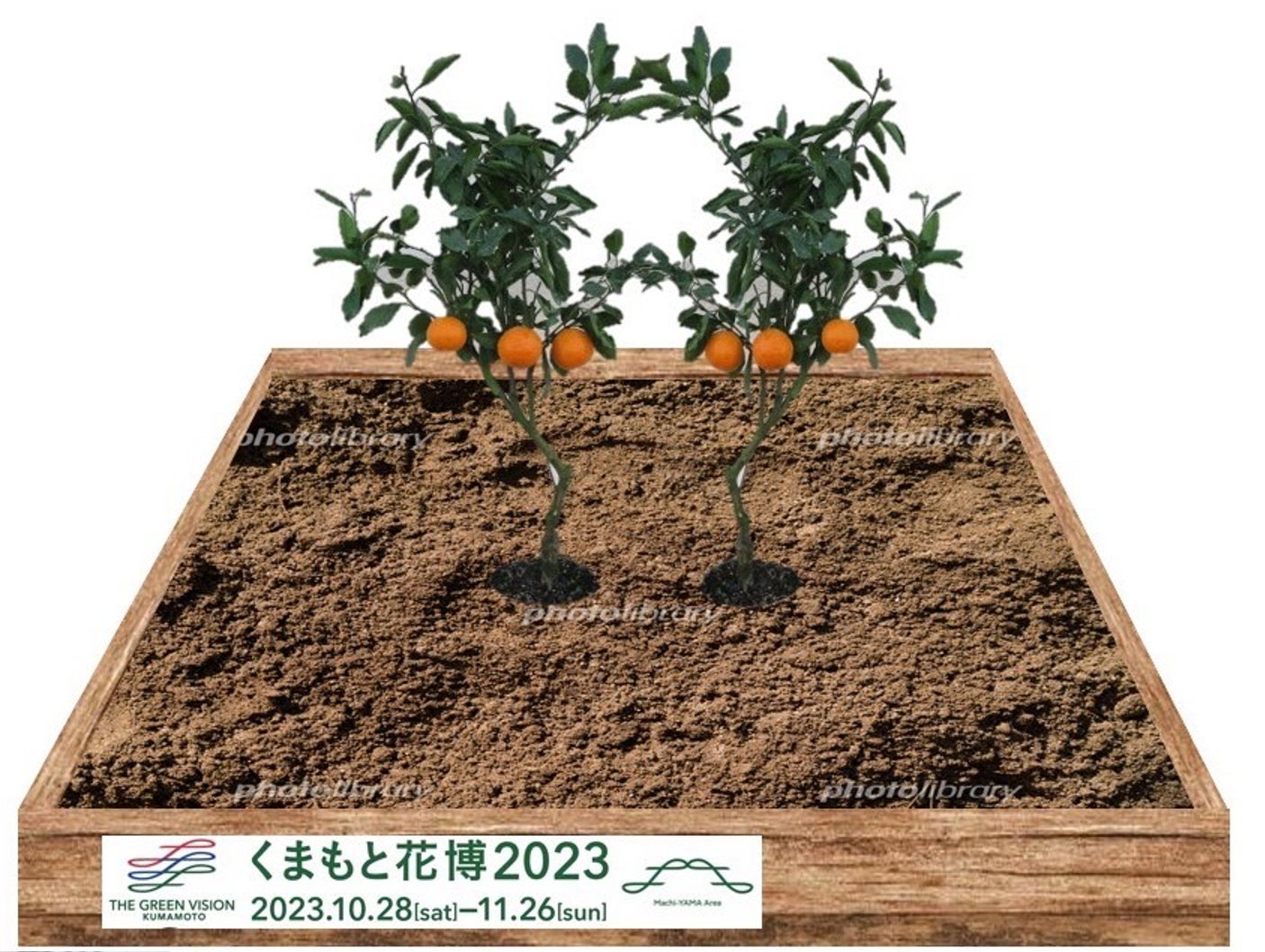 『天使のたまご THE VISUAL COLLECTION』11 月発売決定！