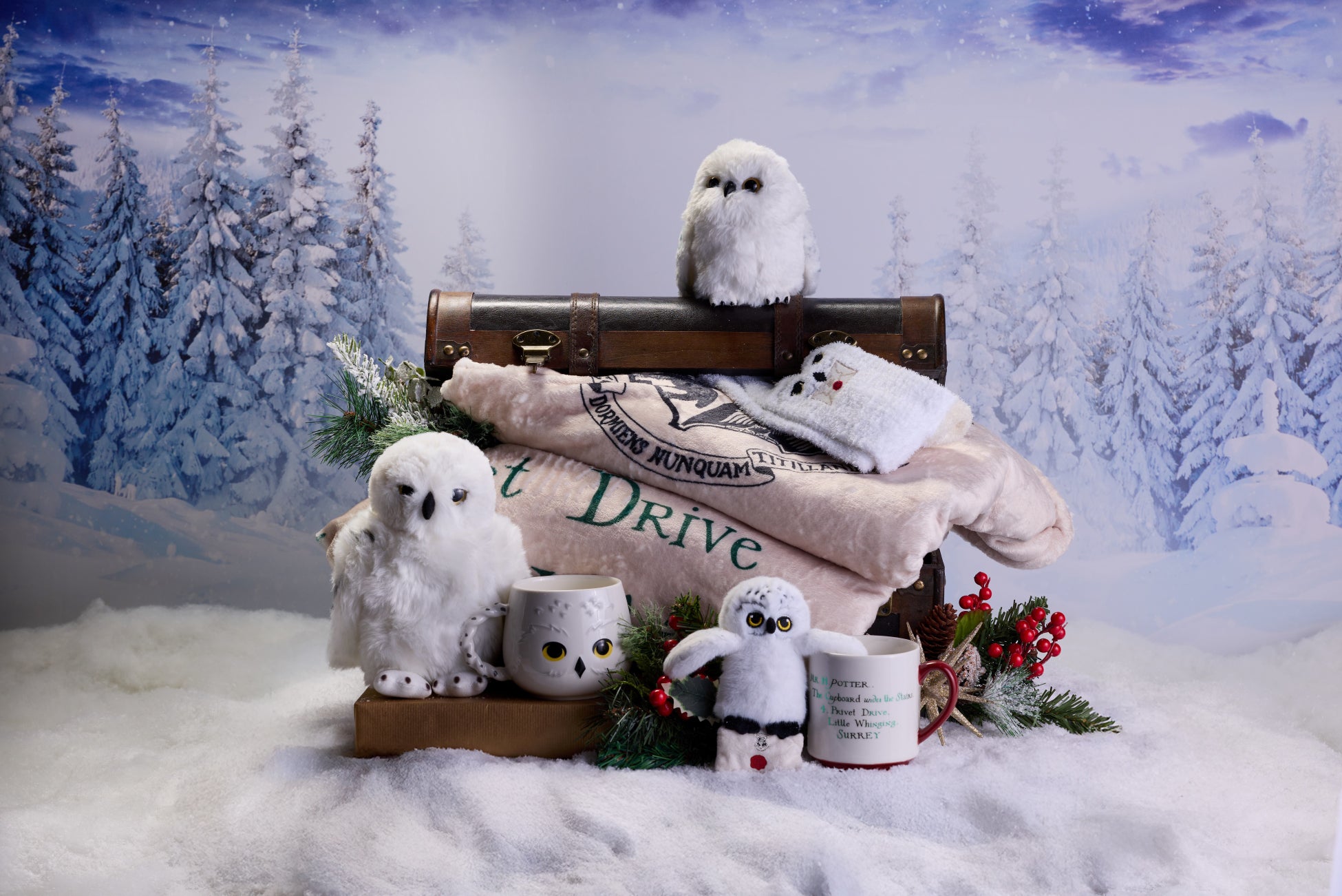 <indent✖️美少女図鑑、SNS特化“縦型ショートドラマ”共同制作プロジェクト第1弾>『#わたしの推しはもう死んだ』(原案:風沢氷花)、各種配信プラットフォームより配信開始!