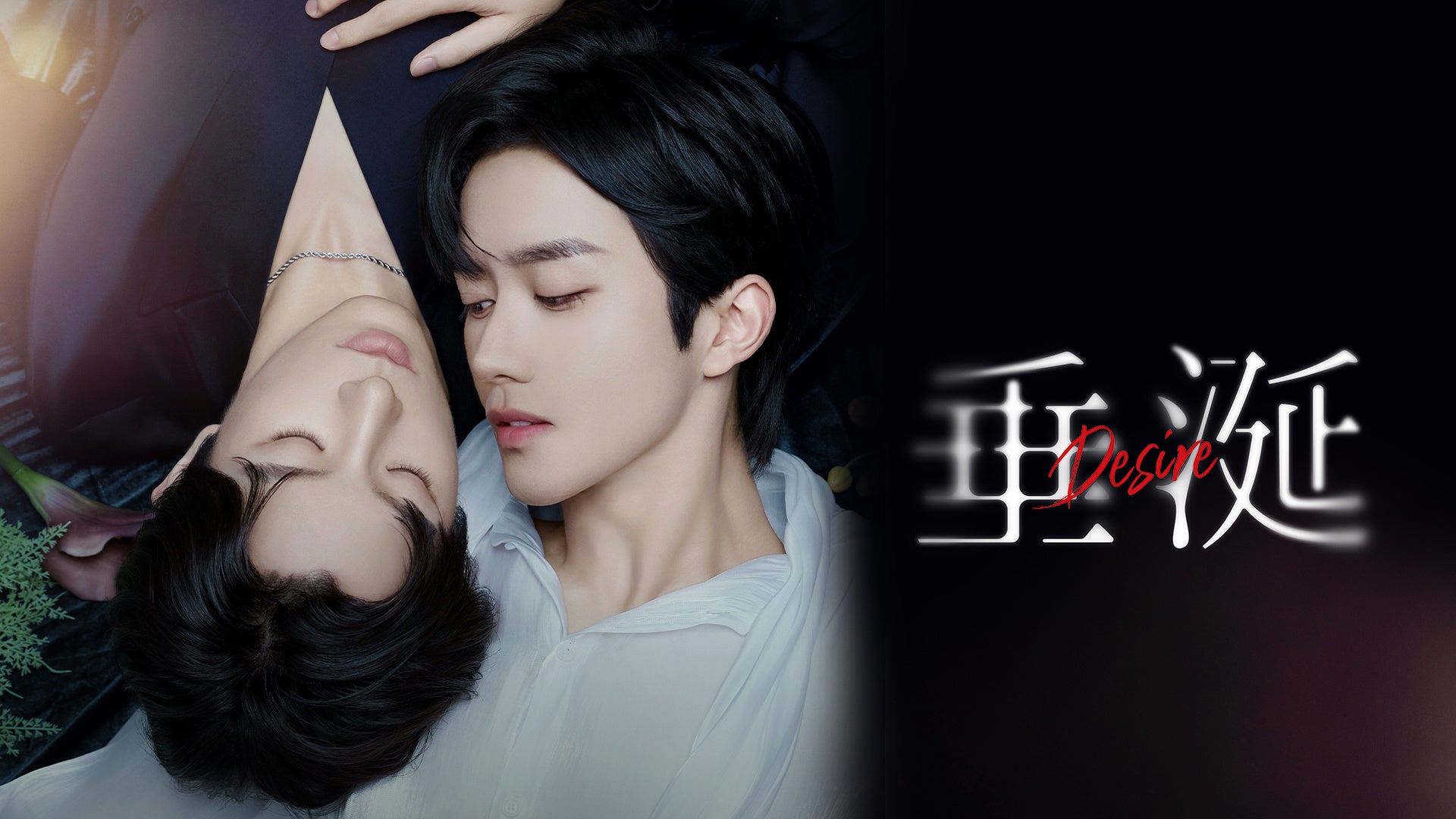 AiHUB、東京AI祭2025にプラチナスポンサーとして協賛決定