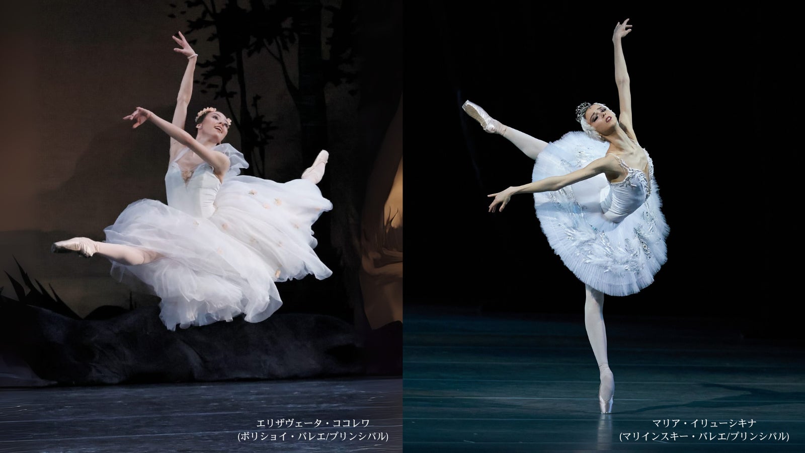 元NMB48白間美瑠写真集発売記念イベント開催のお知らせ