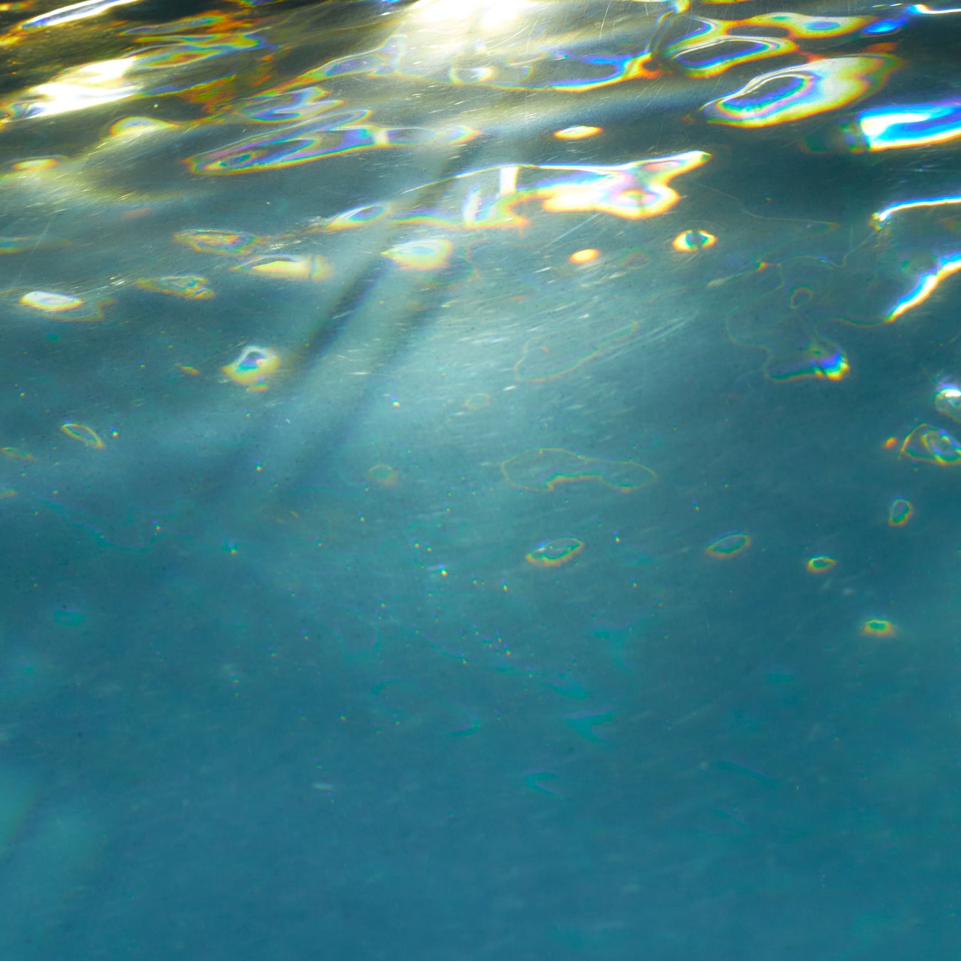 ノサカラボ 朗読劇『陰陽師～生成り姫～』井上和彦、速水奨、関智一、森久保祥太郎らの豪華出演陣ビジュアル解禁！！