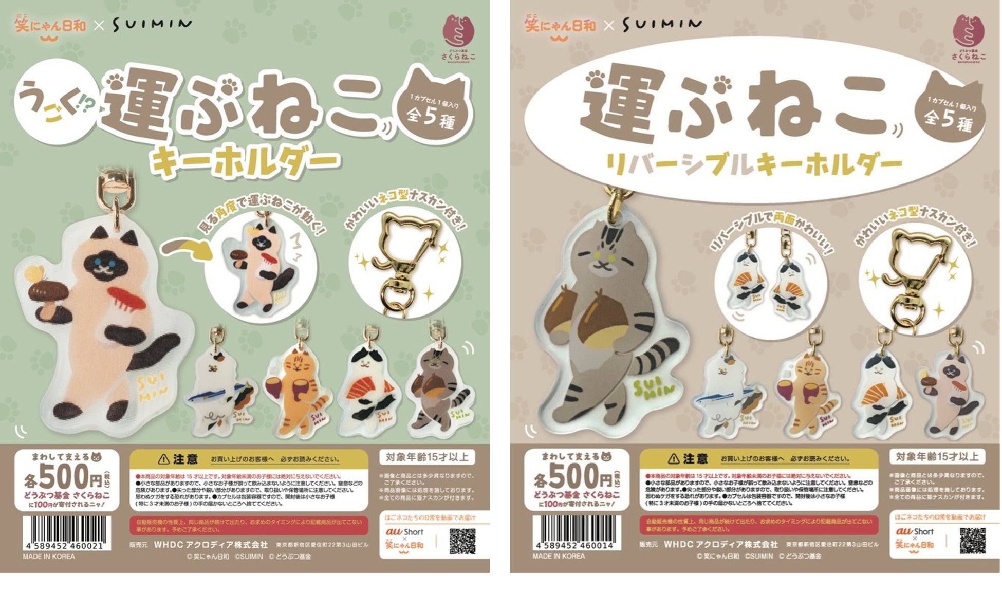 映画『富士山と、コーヒーと、しあわせの数式』公開直前スペシャル・トークイベントを「大学祭」にて開催！