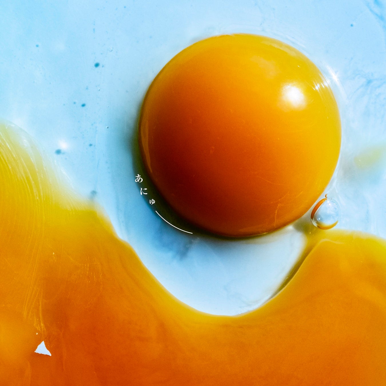 FM AICHIで10月13日（月・祝）に昭和歌謡曲特集！連休最終日は懐かしの名曲をお楽しみに！