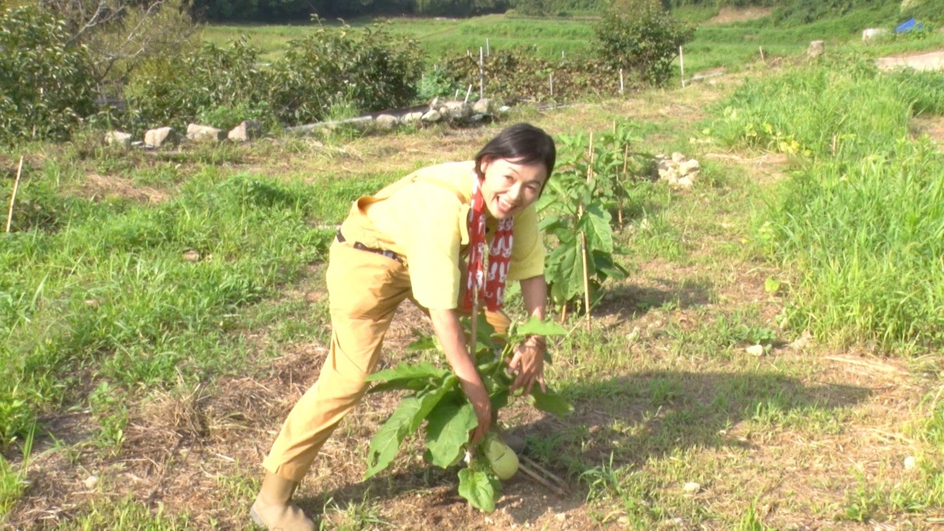 いよいよ今週末！「横濱 JAZZ PROMENADE 2025」10月11日(土)・12日(日)に開催