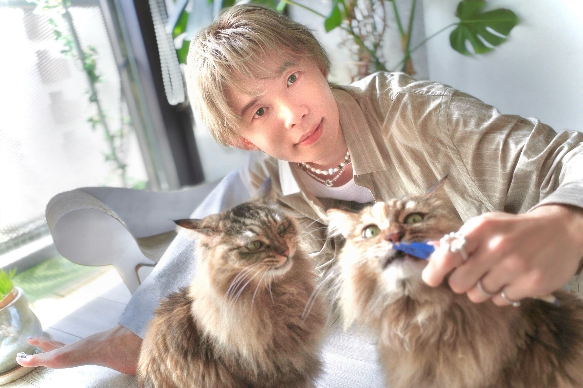 NHK ONEサービスイン 新アプリへの移行163万件