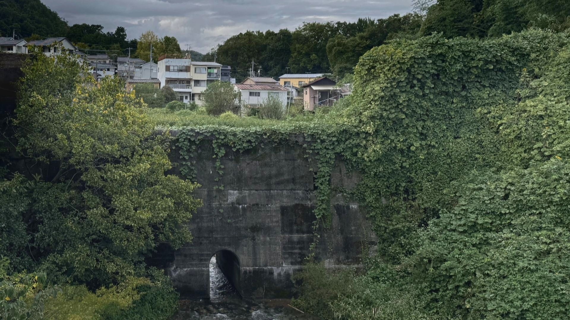 Vtuber「彷徨鈴」wotaku作曲のオリジナルソングを配信開始!