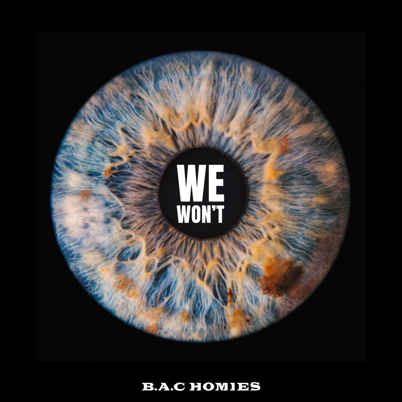 『ギャルFES』 新山士彦の出演&会場限定グッズ販売決定！さらにFESに向けたエルフのオリジナル楽曲の配信開始