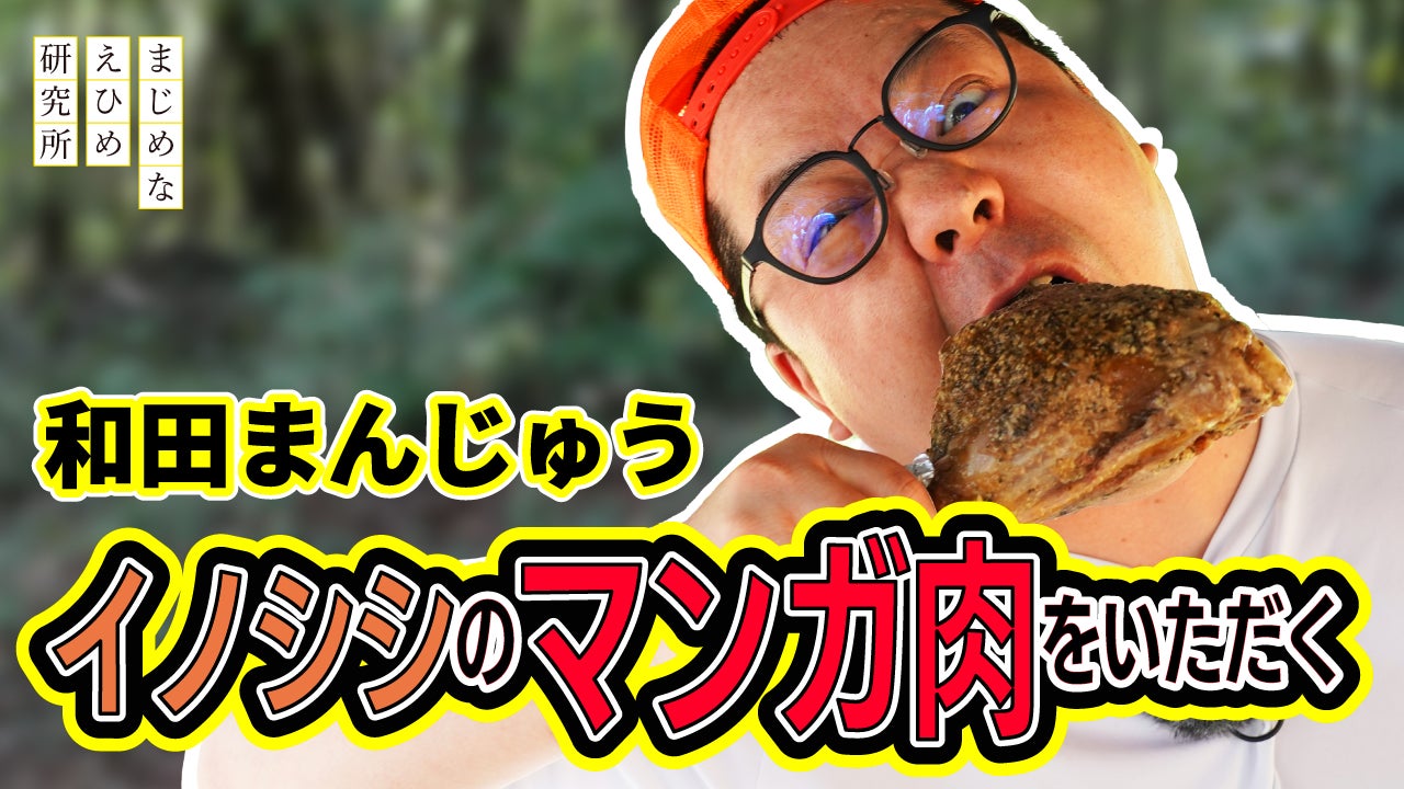 【まじめえひめプロジェクト】ネルソンズの和田まんじゅう イノシシのマンガ肉に食らいつく！？