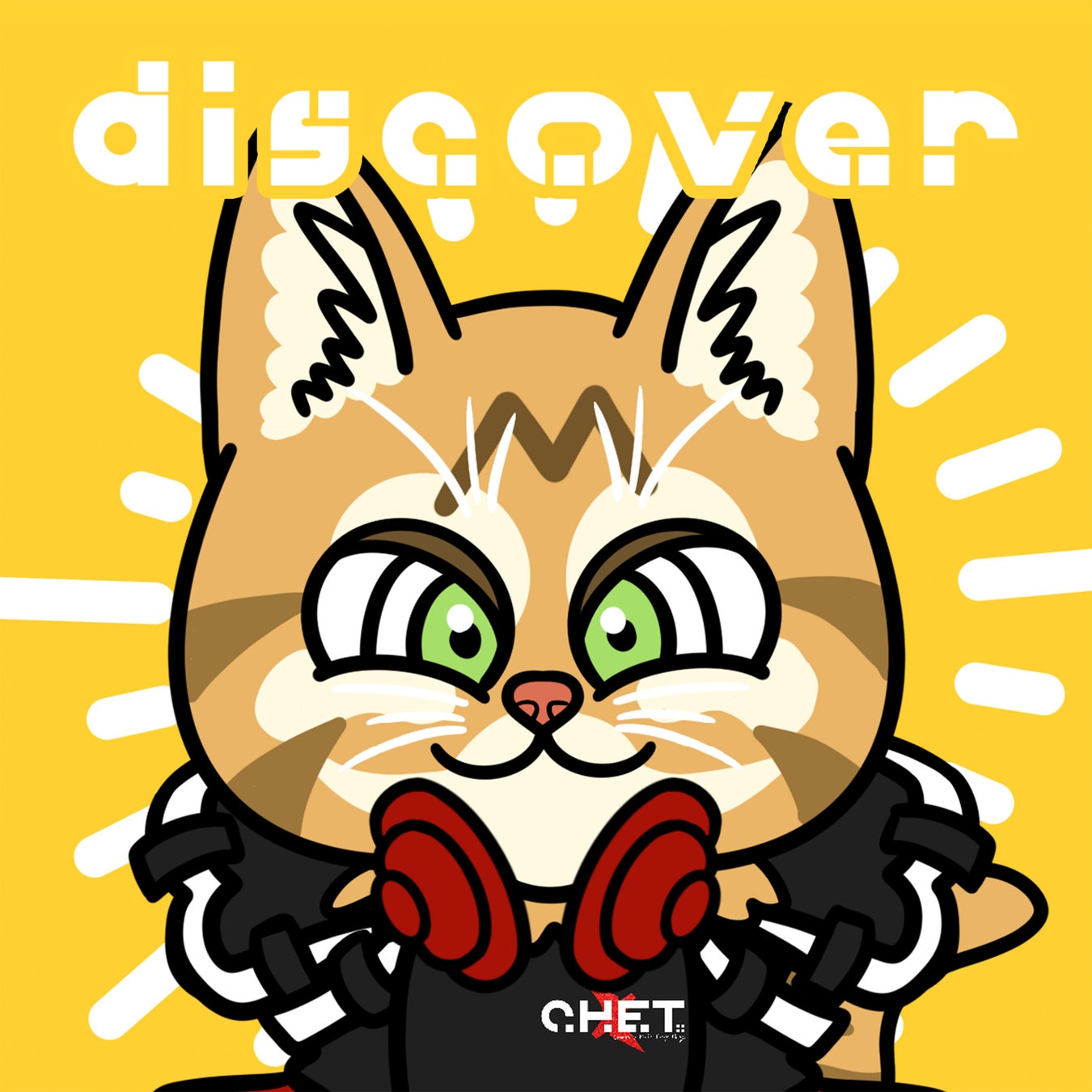 おしゃべりなアメリカンショートヘア×マンチカン「アメチカンのもな」とのRe-ride楽曲「discover/アメチカンのもな feat. えのぐ & C.H.E.T.」が11月17日(月)配信開始！