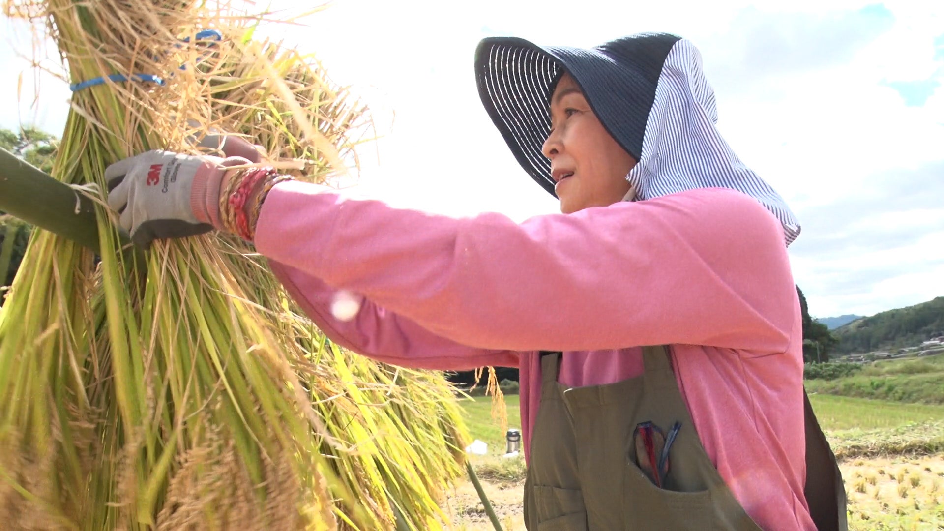 NEC、業界初のテレビ番組のオンライン搬入サービスを提供開始