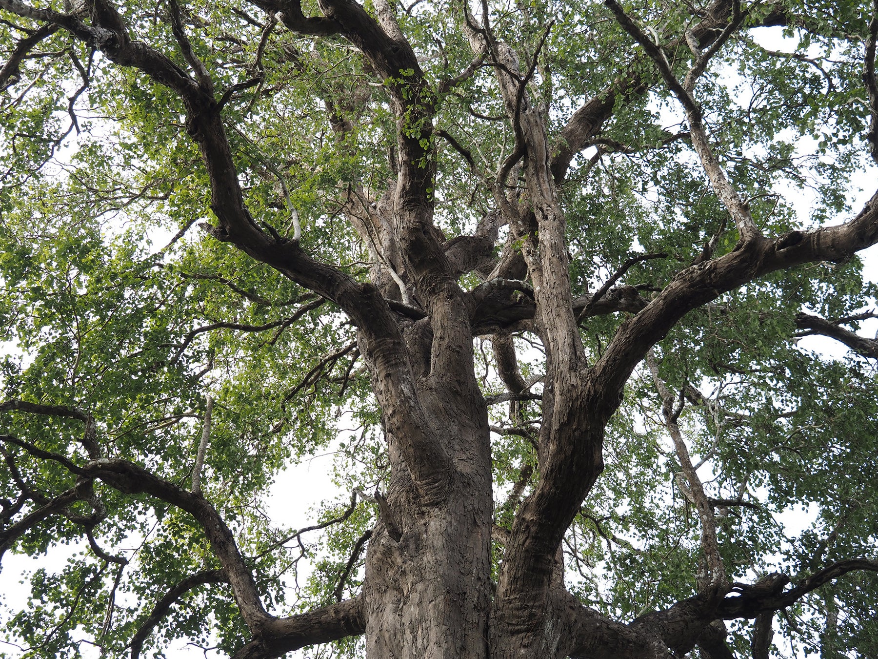 【AIが新たな制作フローを描く】TENHO、UNITED PRODUCTIONSに生成AI活用ワークショップを実施