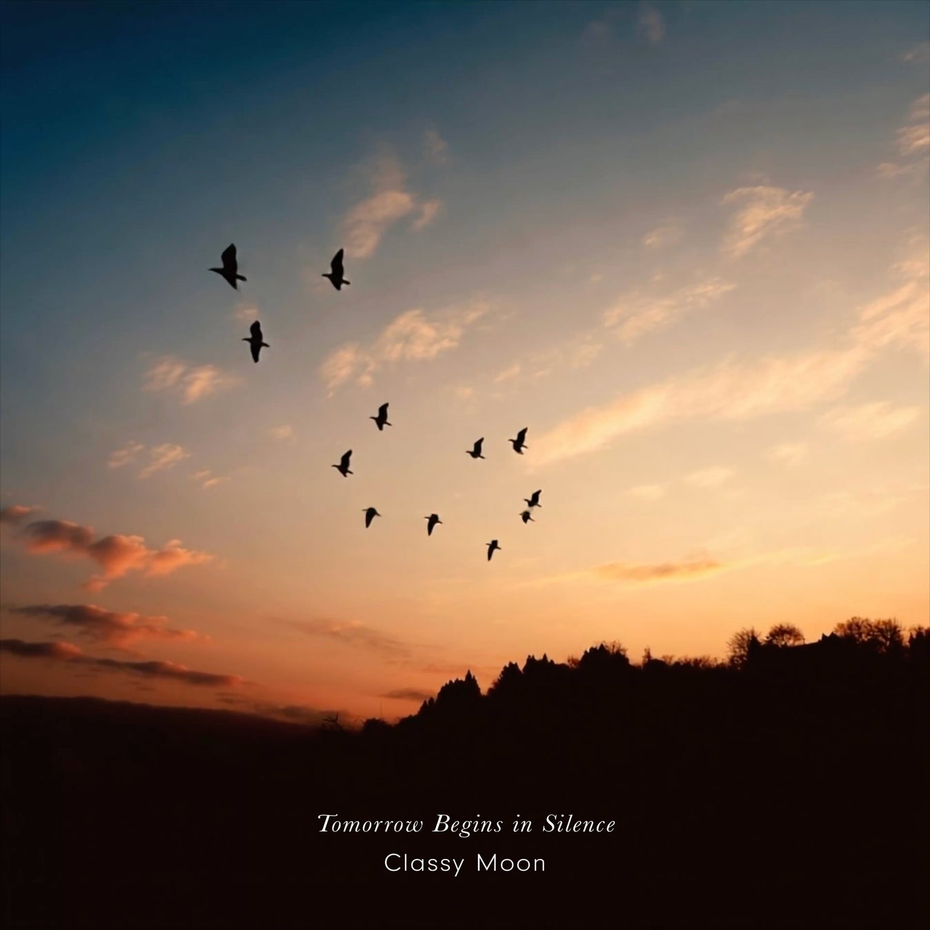 【初心者歓迎】老舗料亭「幸本」で幇間と神楽坂芸者を楽しむ希少な会　―特別に、東京芸者の一大イベント「神楽坂をどり」チケットの優先確保も―