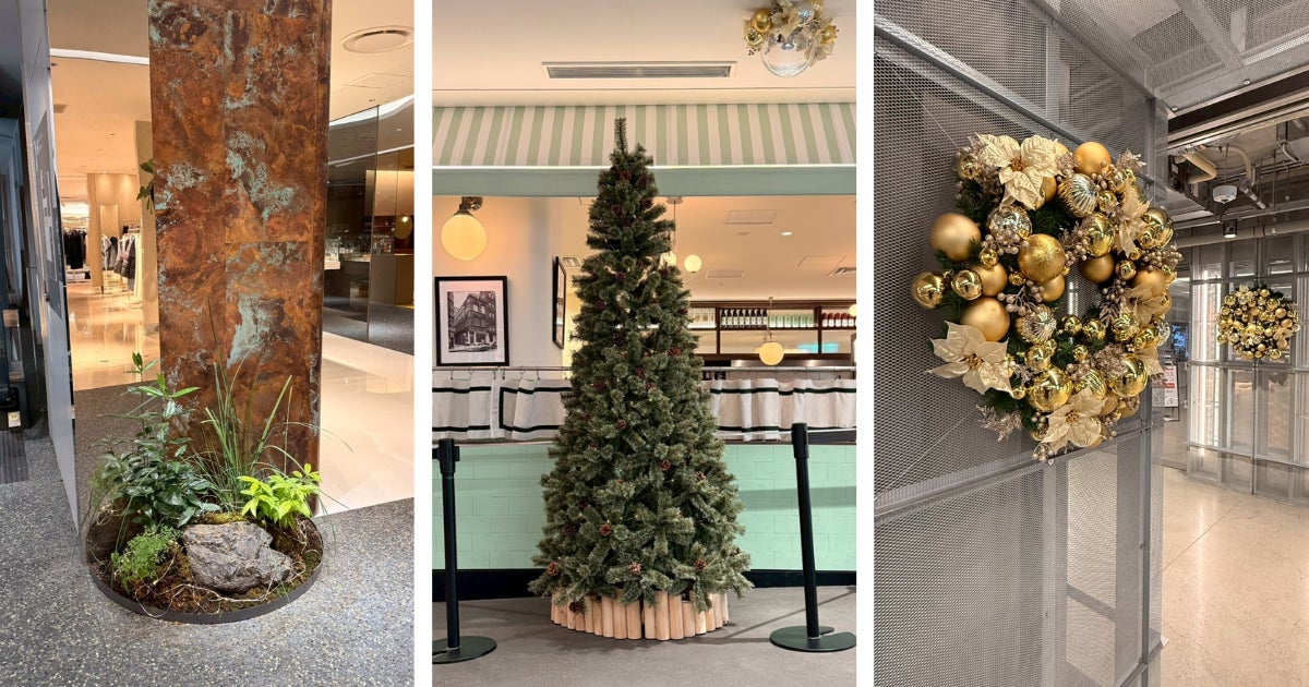 【京都髙島屋S.C.専門店ゾーン［T8］】冬の装飾「Christmas Green at T8 — 自然の気配とともに —」を展開！