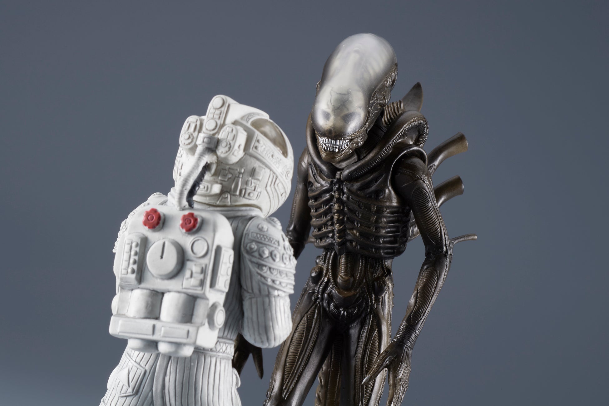 【京都府京丹後市】タレント・俳優 芋洗坂係長がふるさと納税で人気の返礼品「さつまいも」をPR！