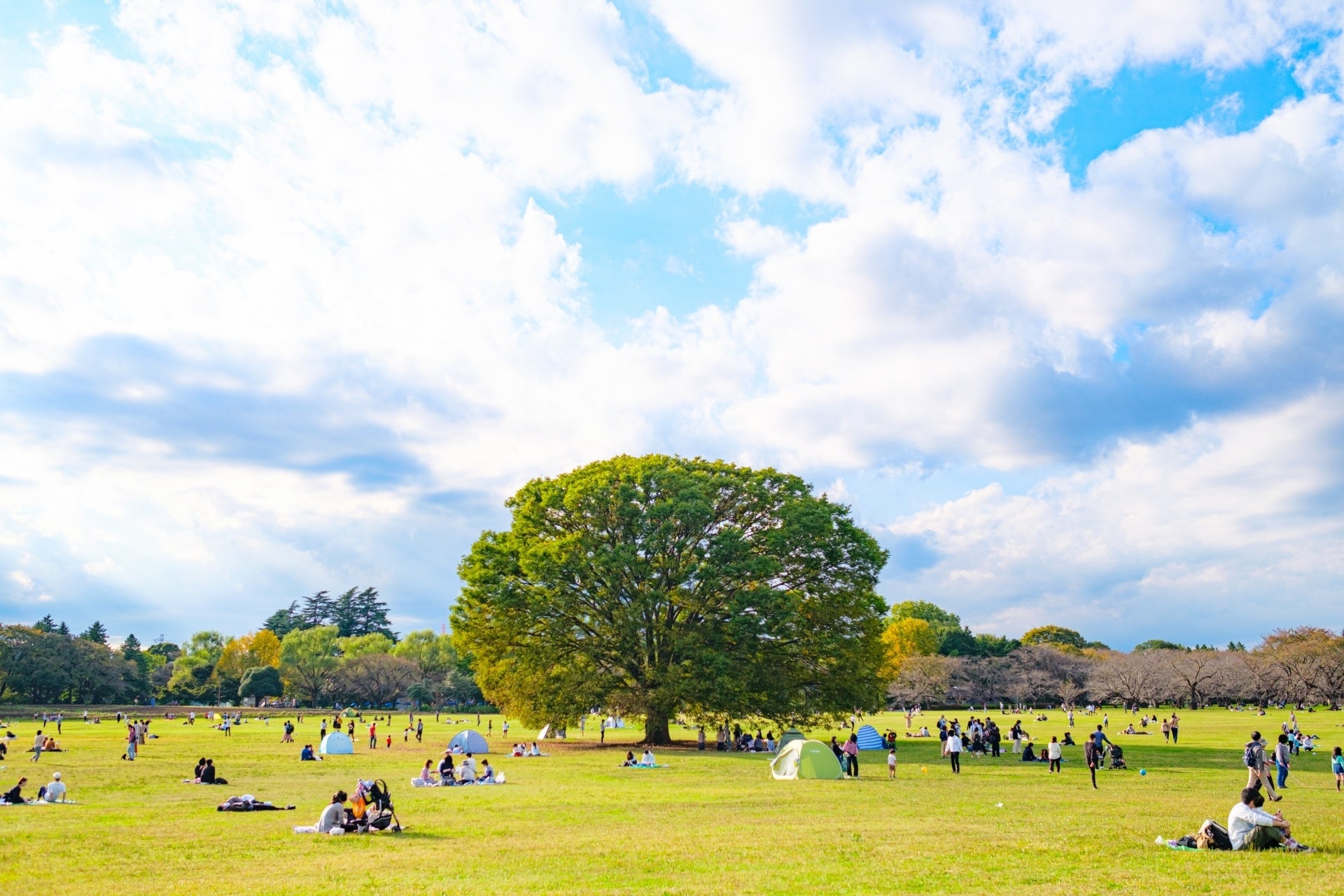 「七乃羽すず」と「赤彩みあ」によるVTuberユニット『すずみあ』が12月5日(金)にデビュー！