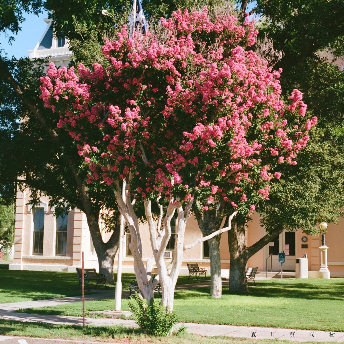 【12月7日(日)16:30～放送！】アニメ『ウマ娘 シンデレラグレイ』第21話 WEB予告・先行カット・あらすじ公開！