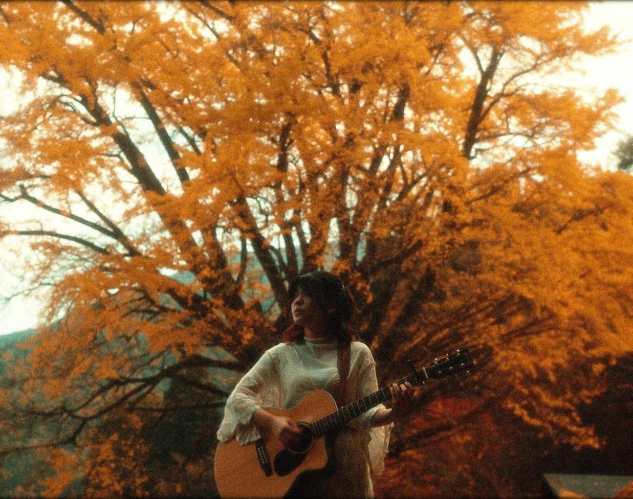 車好き必見!12月のヒストリーチャンネル傑作選は「車」特集!「ワゴンで行こう!埋もれたクルマ発掘隊」12/12(金)ひる12時~ BS10で初のテレビ無料放送!