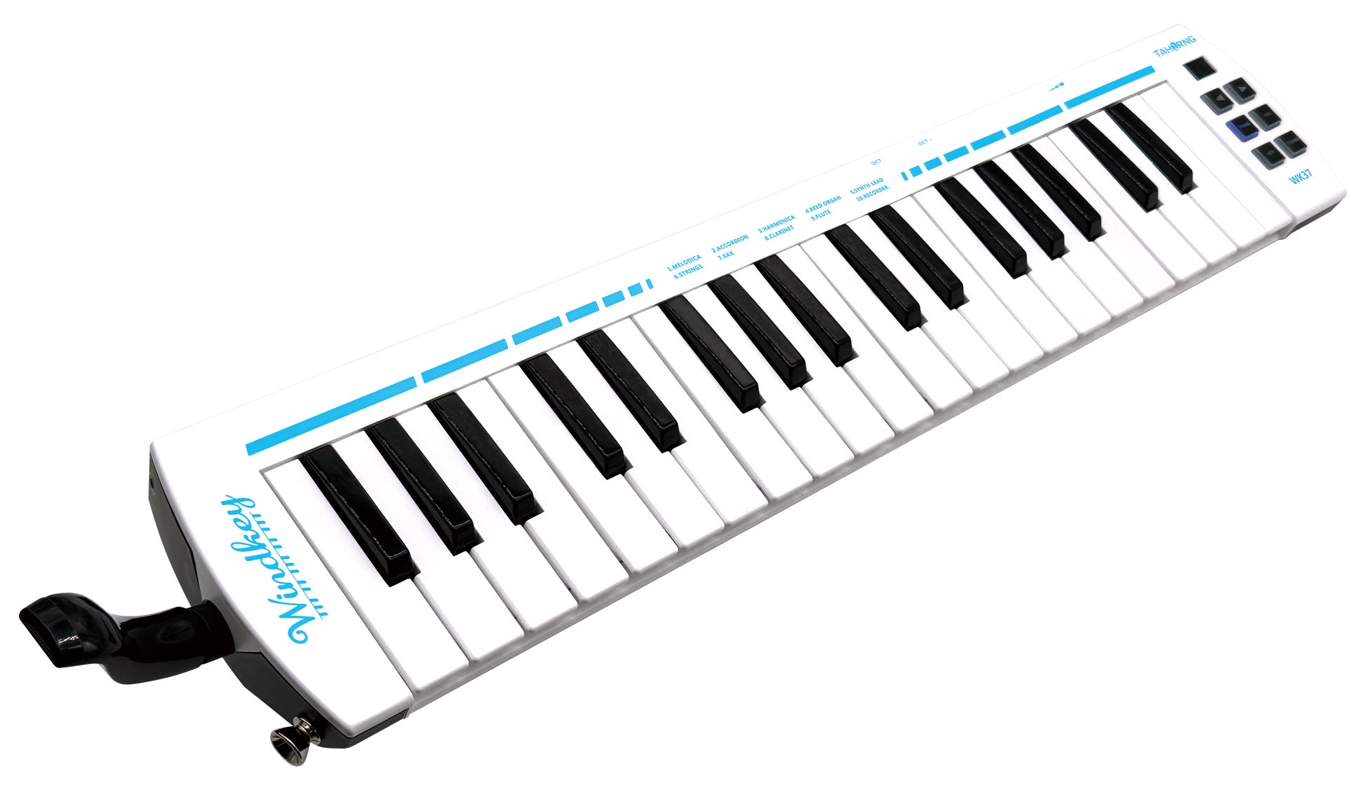 真剣な音楽×過激なお笑い大祭典!!ダブルアートの12才協会企画『全開の日』開催決定!!