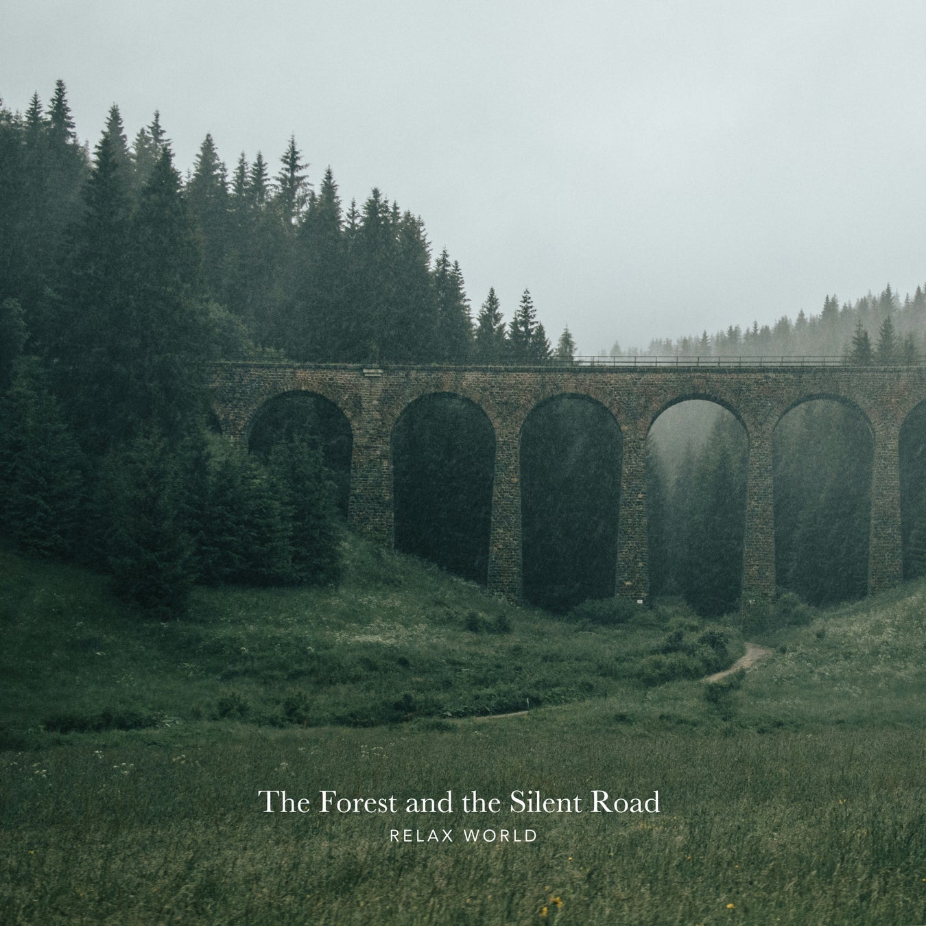 思考を休ませる静かな道へ。ヒーリング・ミュージックの第一線で活躍する RELAX WORLD 最新アルバム『The Forest and the Silent Road』12月19日 配信リリース