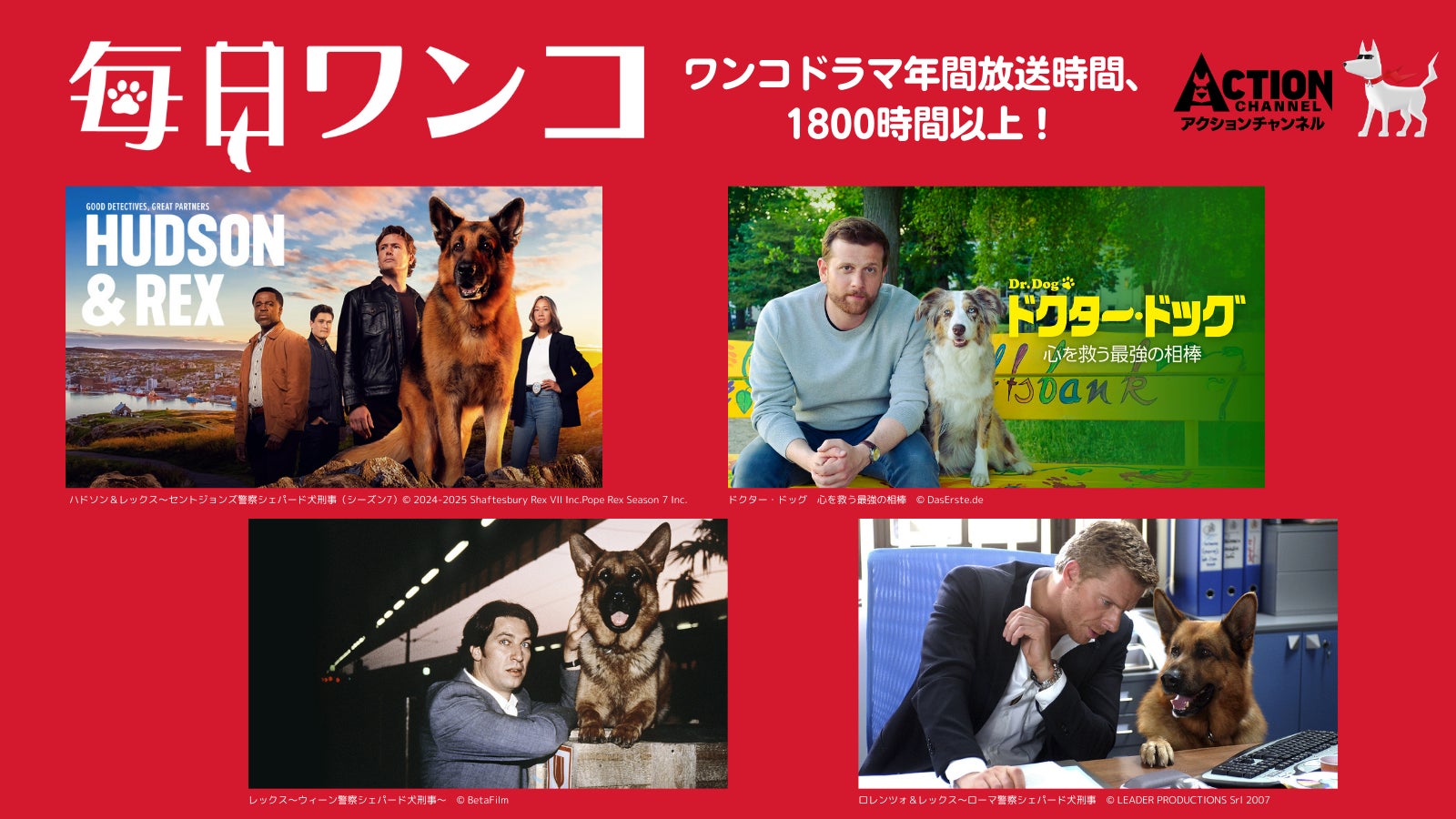 Ｓｋｙ株式会社が提供する新ラジオ番組「Ｓｋｙカントリー倶楽部」が1月より放送開始