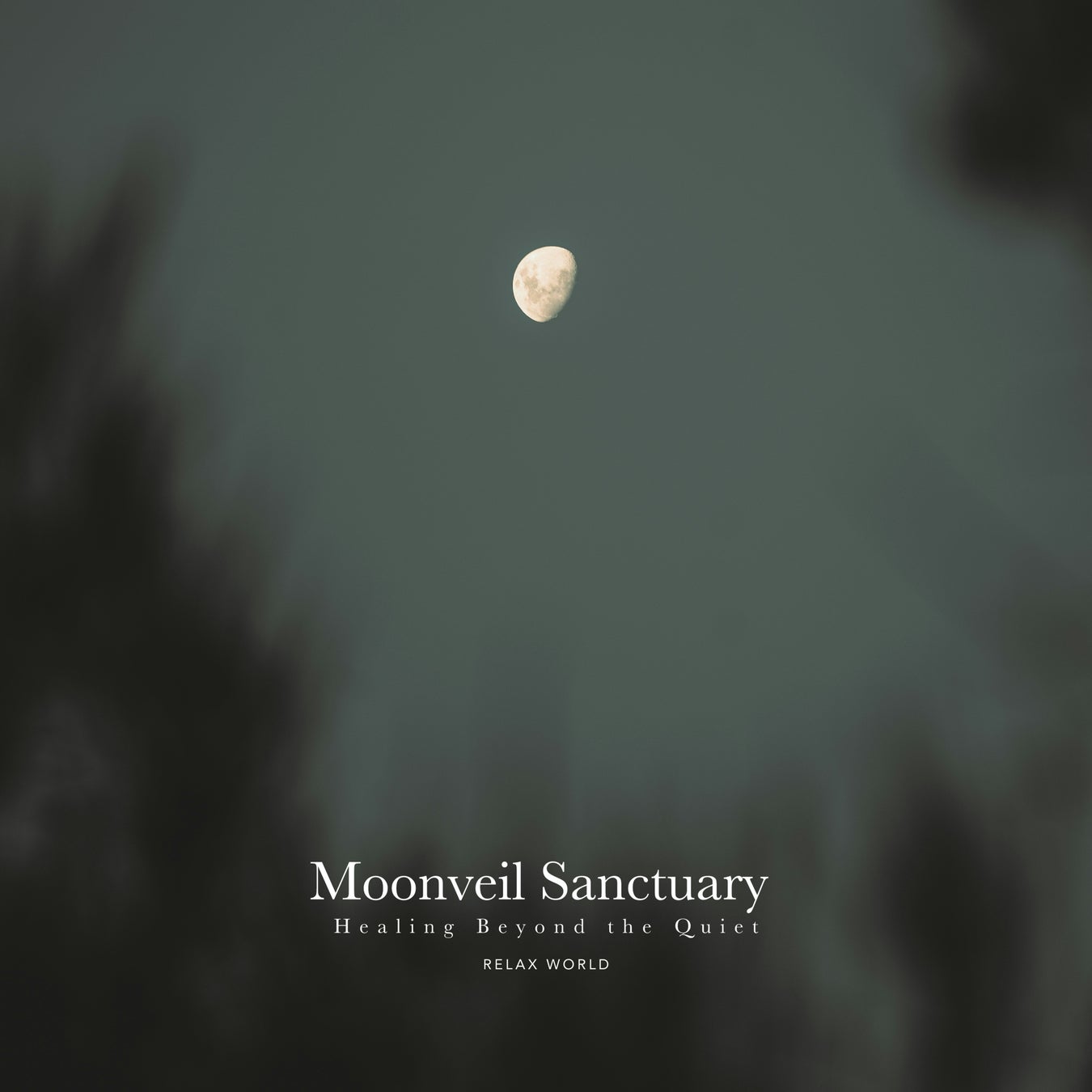 夜と心が静かに重なる音の空間、RELAX WORLD新作ヒーリングアルバムを12月26日配信