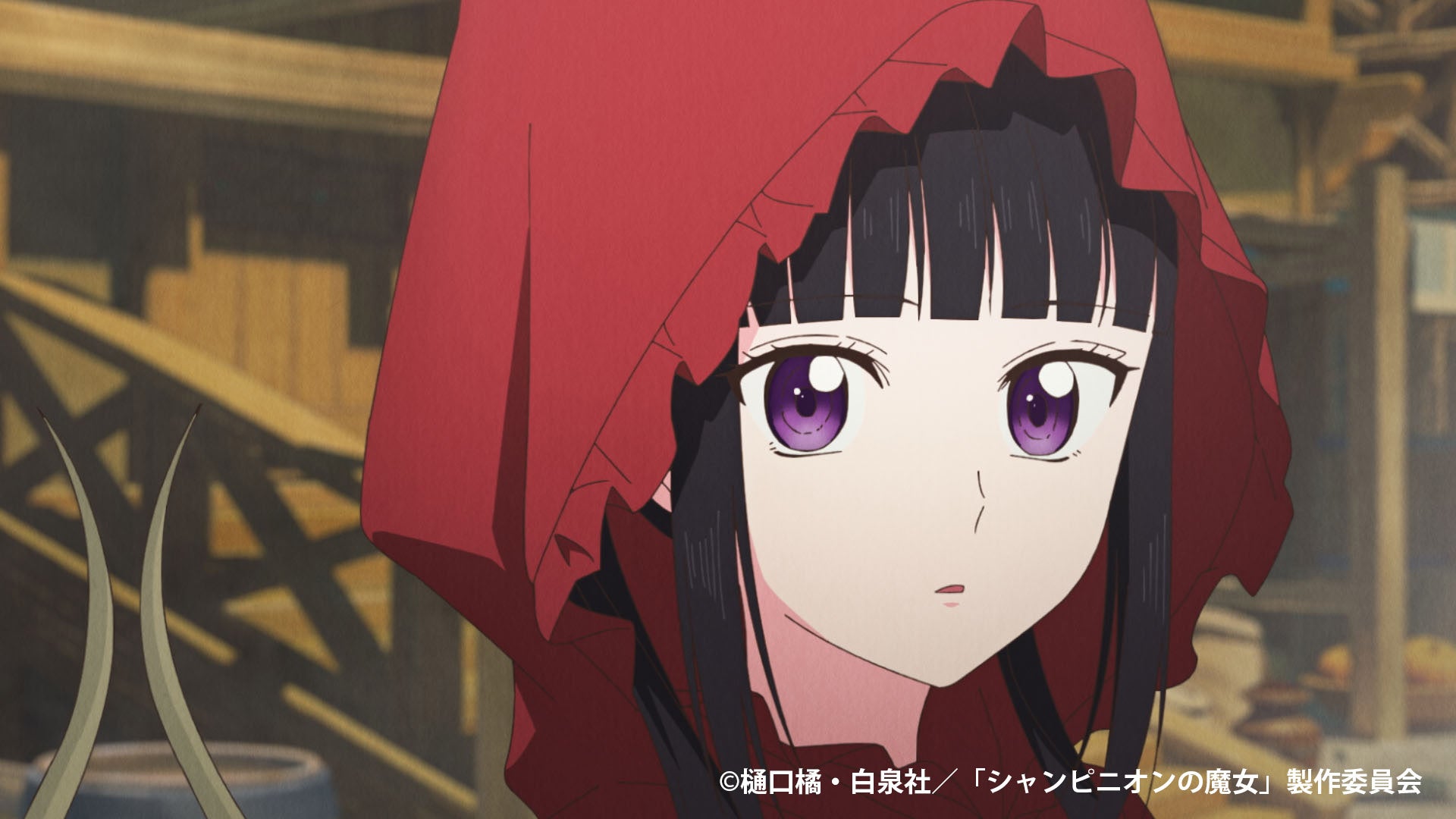 Qzil.la、新レーベルにてTVアニメ『シャンピニオンの魔女』の制作に参加、1月8日木曜深夜1時58分から放送開始