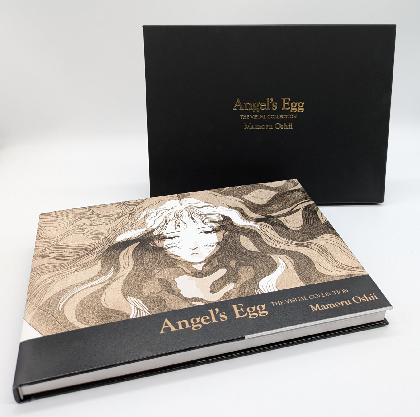 高校生ダンス部の日本一を決定するコンテスト 第1回中部予選『マイナビ HIGH SCHOOL DANCE COMPETITION 2026 CHUBU』が 2026年1月31日(土)に開催決定！