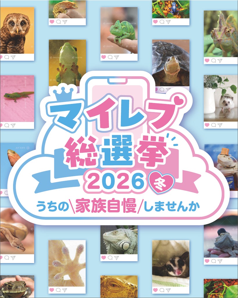 【爬虫類・両生類好き必見】日本初！エキゾチックアニマルNo.1を決める『マイレプ総選挙』開催！ レプタイルズフィーバー 2026 Winter