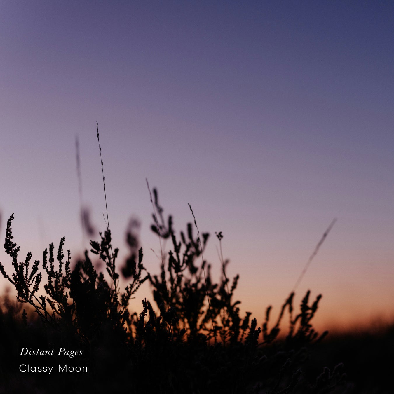 青春の一幕を切り抜いたショートドラマが無料で楽しめるＳＮＳ「これじゃ在り来たりすぎる。」運用スタート！アカウント開設３週間でTikTokフォロワー１万人を突破！