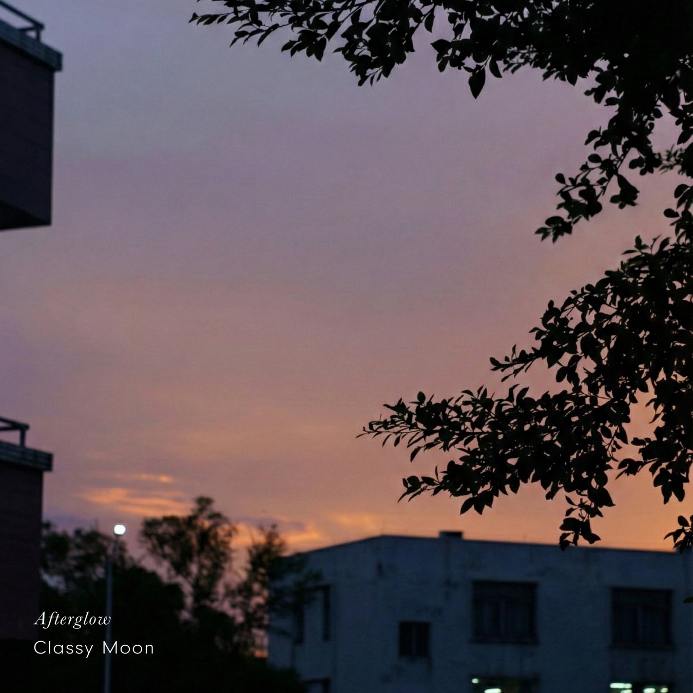 2/13(金)公開 ナショナル・シアター・ライブ『ハムレット』主演ヒラン・アベイセケラのメッセージ予告編(日本版)が完成しました