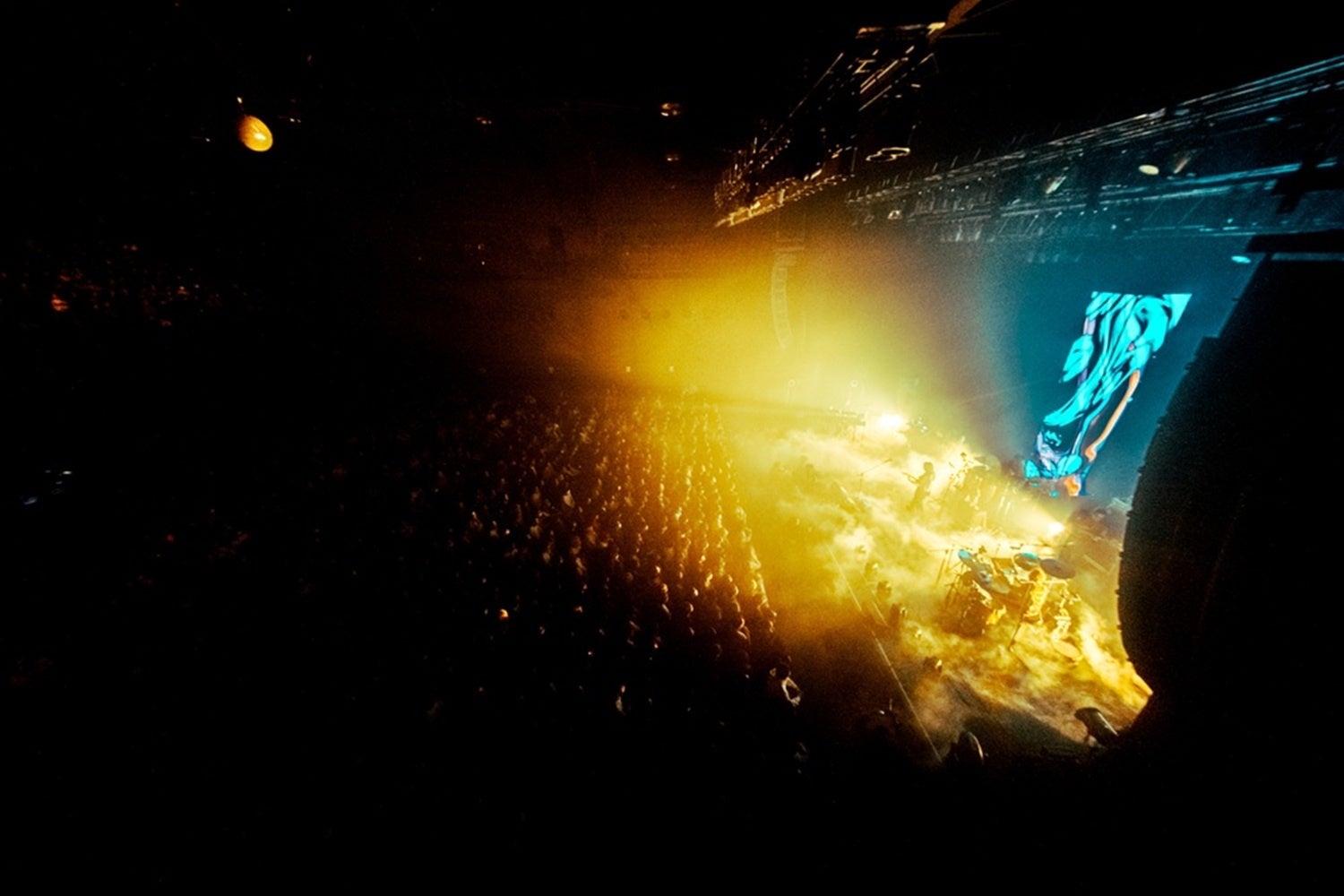 武道館公演を経て“新章”へ──Tempalay、中国4都市含む最新E.Pリリースツアーファイナルの模様をスペースシャワーTVで独占放送！