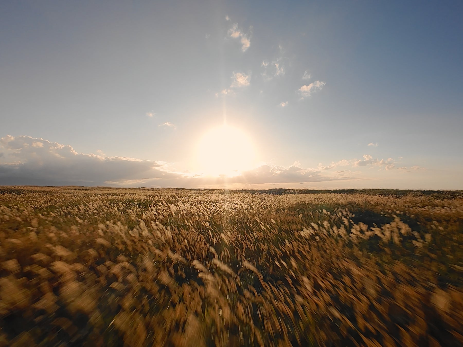 「日常のビューティールーティンを、アートへ。」