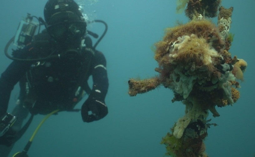 ｋｈｂ鈴木奏斗アナウンサーが「第２４回ＡＮＮアナウンサー賞」特別賞を受賞！