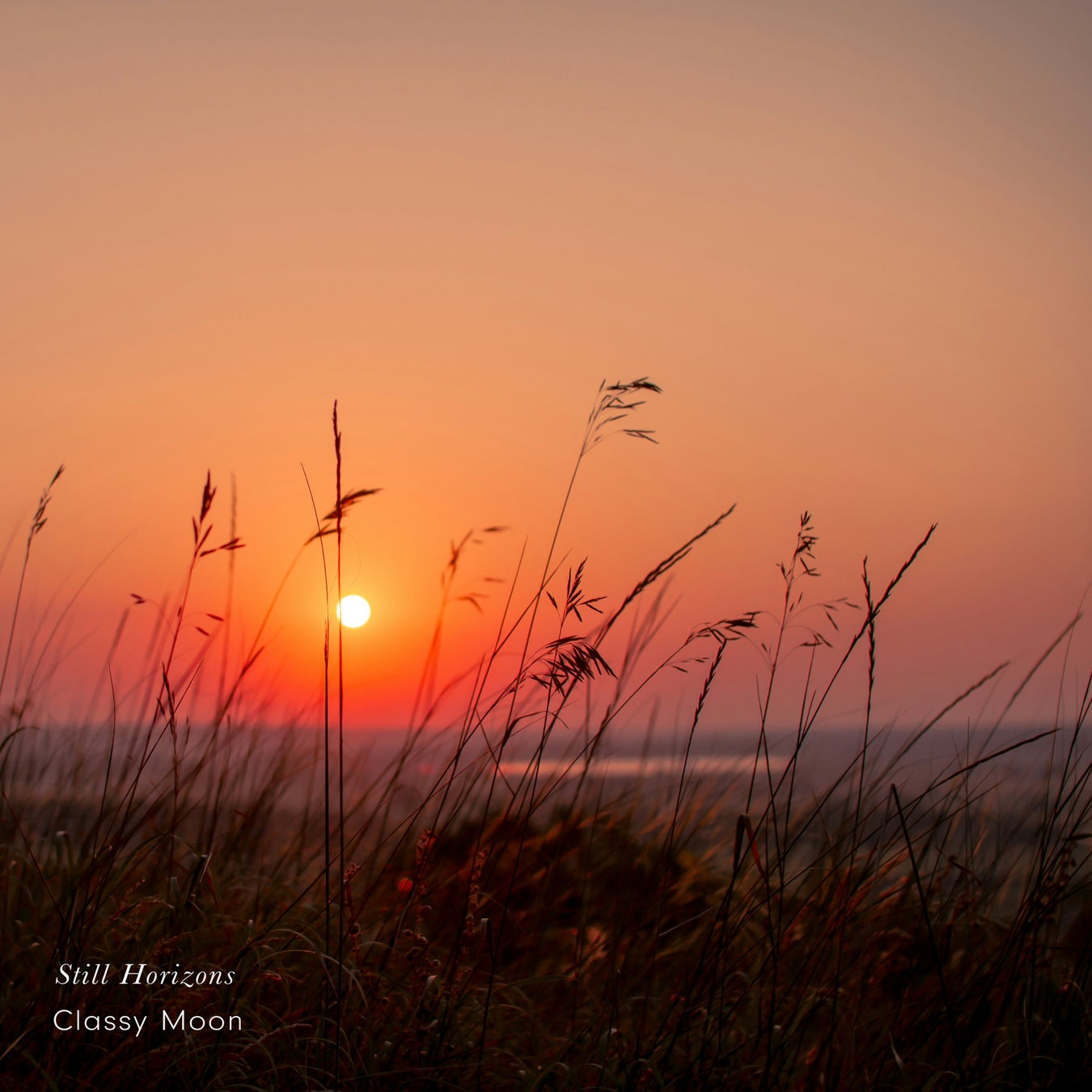 集中と休息のためのピアノアンビエント。Classy Moon『 Still Horizons 』2月6日配信開始