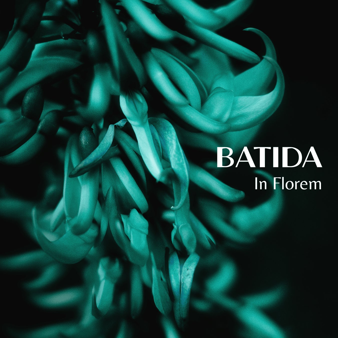 石垣島のレストラン〈BATIDA〉が手がける“音”のプロジェクト「BATIDA SOUND」の第二弾が発表