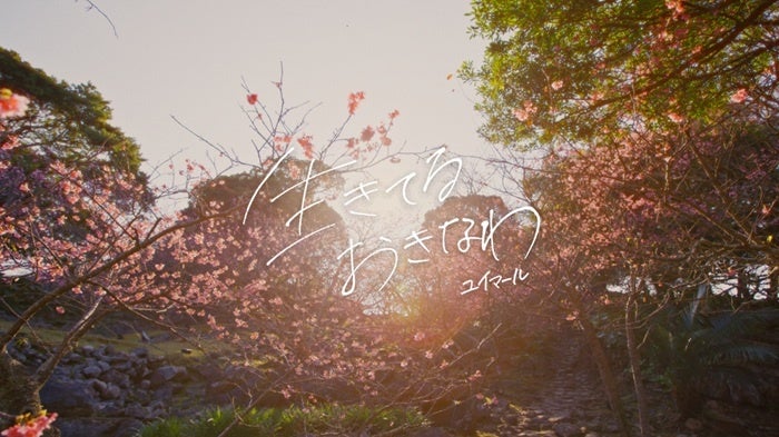 沖縄JTB 株式会社、株式会社JTBコミュニケーションデザイン、株式会社琉球カヤックスタジオ