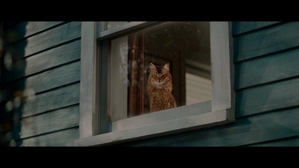 YKK APのTVCM「窓と猫の物語」シリーズ　新CMを2月20日から放映