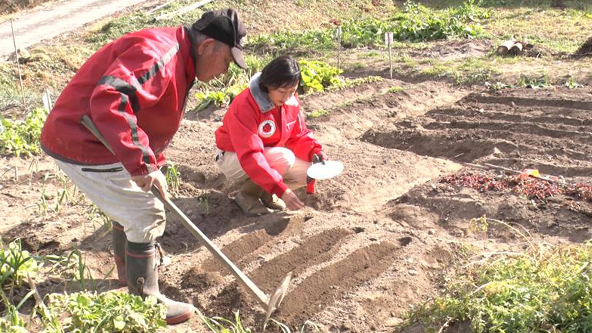 【ＢＳ日テレ】なおみ農園～この畑が、この手料理が、財前直見を育てた。じぃじが教える…ジャガイモの育て方、ばぁばが教える…絶品キムチ～３月５日（木）よる１０時放送