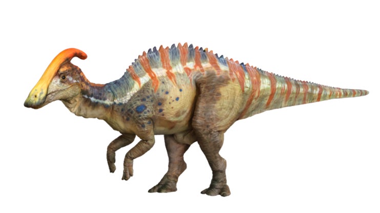 体験型「恐竜」ライブエンターテインメント「DINO SAFARI 2026」“長いトサカ”を持つパラサウロロフスの子どものビジュアルを初公開！