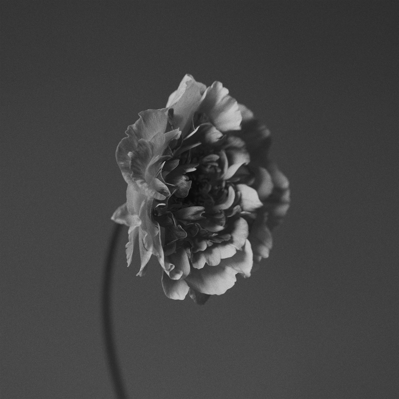 世界で活躍するソウルシンガーNao Yoshiokaが、Braxton Cook、Bnnnyhunnaとの共作「You Got to Feel It」を3月20日にリリース