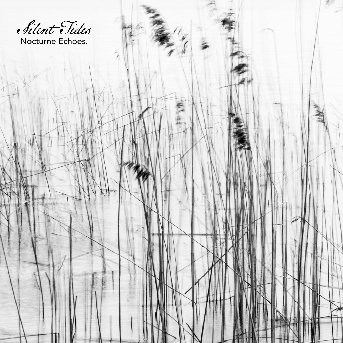 静かな旋律が描く、余白のアンビエントピアノ。Sugar Candy『Silent Tides -Nocturne Echoes』3月27日配信開始