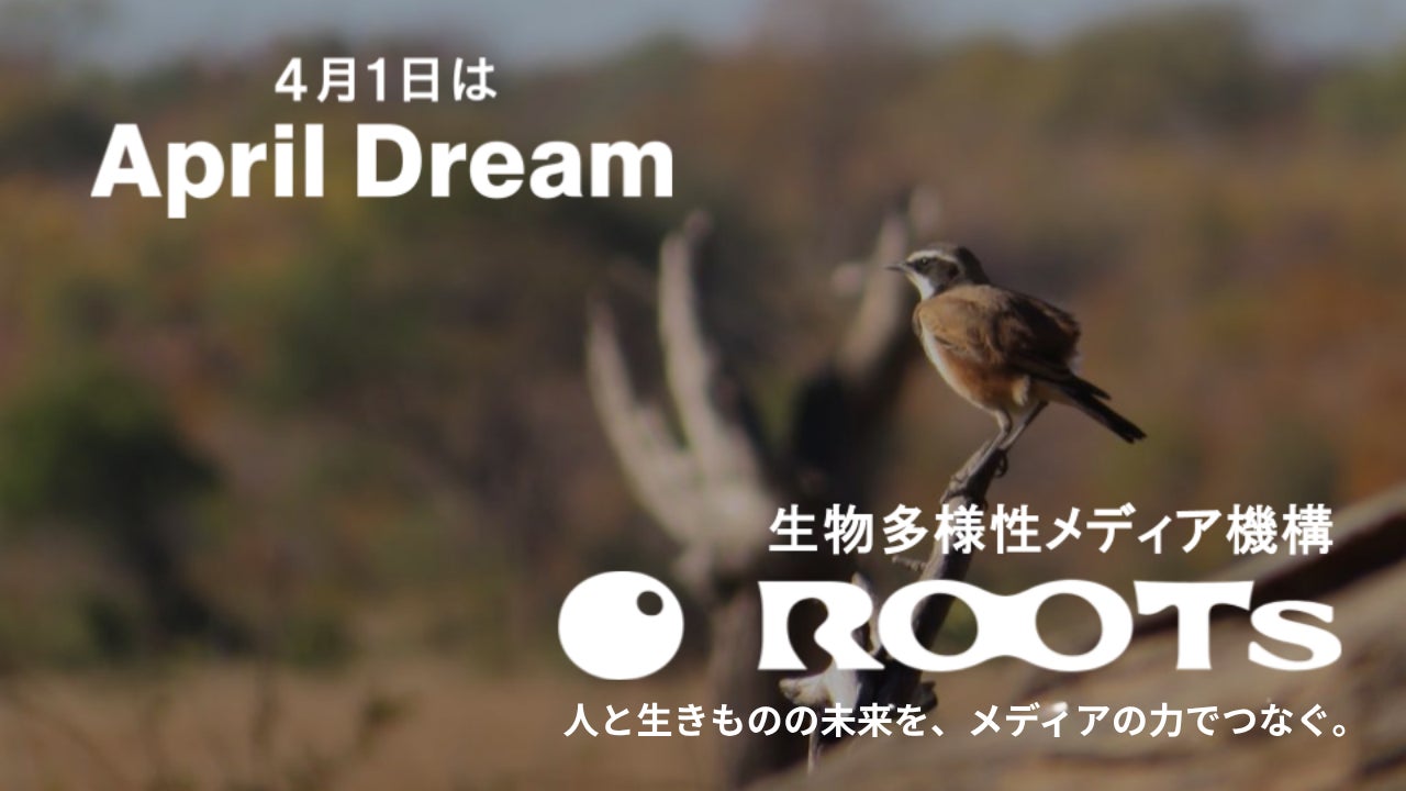 【April Dream】人と生きものの未来を、メディアの力でつなぐ　― メディアと生物多様性の関係を考える対話セッション ―