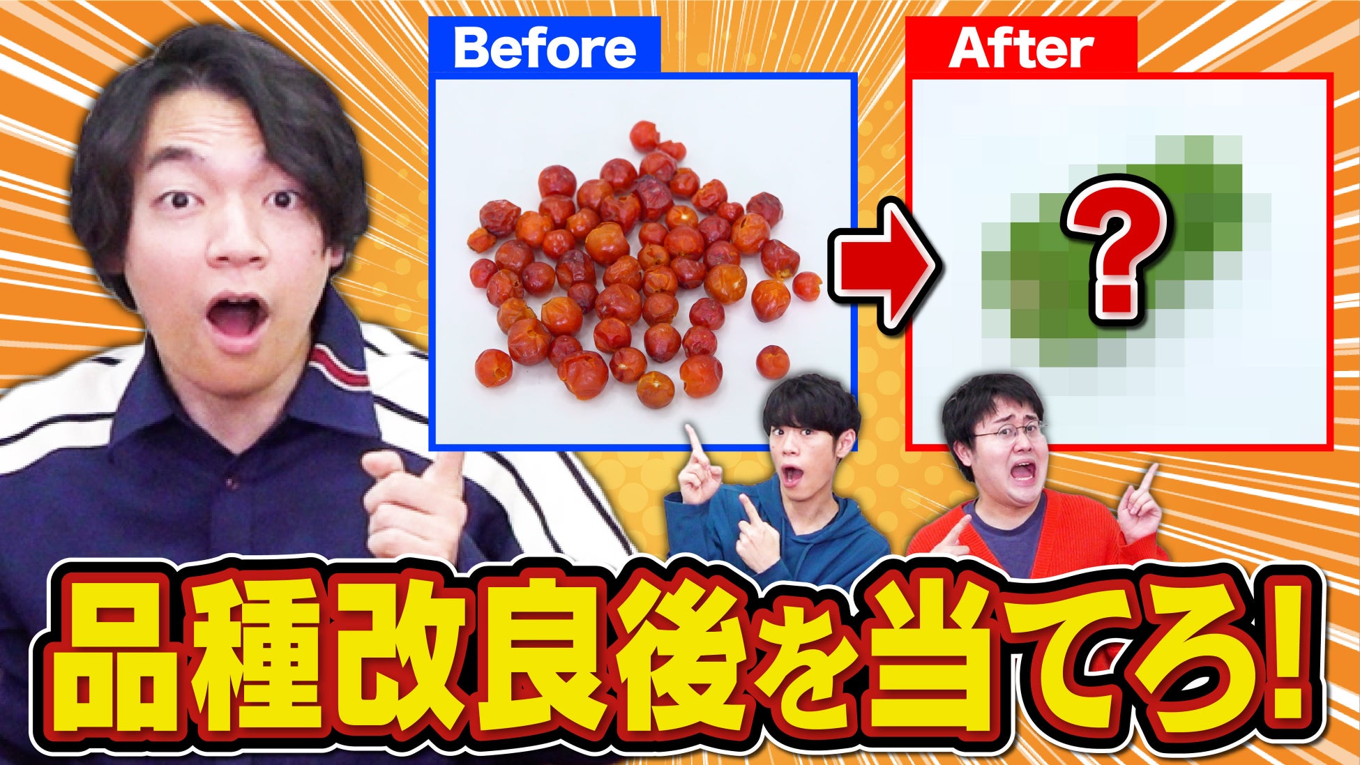 QuizKnockがリージョナルフィッシュとコラボ！　品種改良について楽しく学べる動画が公開されました