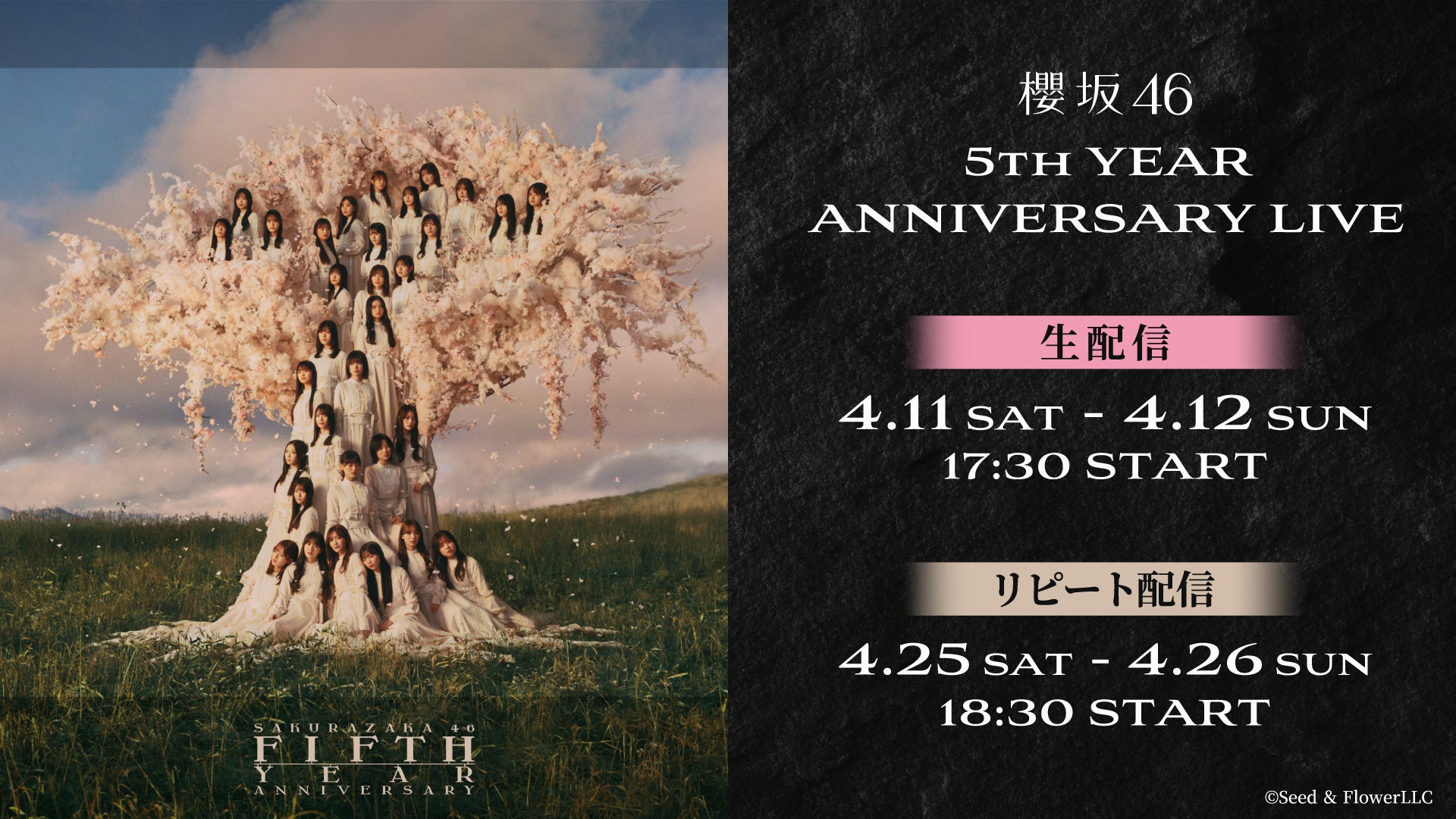 櫻坂46「5th YEAR ANNIVERSARY LIVE」4月11日（土）、12日（日）にLeminoで生配信決定！