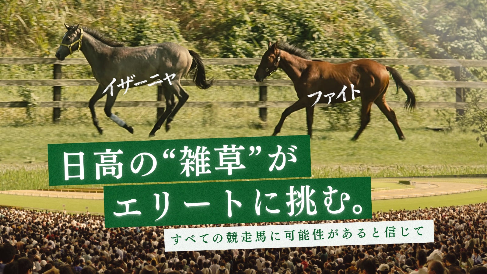 3人の高校時代からの絆、ここでしか聞けない貴重な楽曲エピソード…「う・ふ・ふ・ふ」ほか80年代シティポップを代表するEPO、その音楽を支えた清水信之・佐橋佳幸の特別対談を放送！